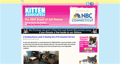 Desktop Screenshot of kittenassociates.org